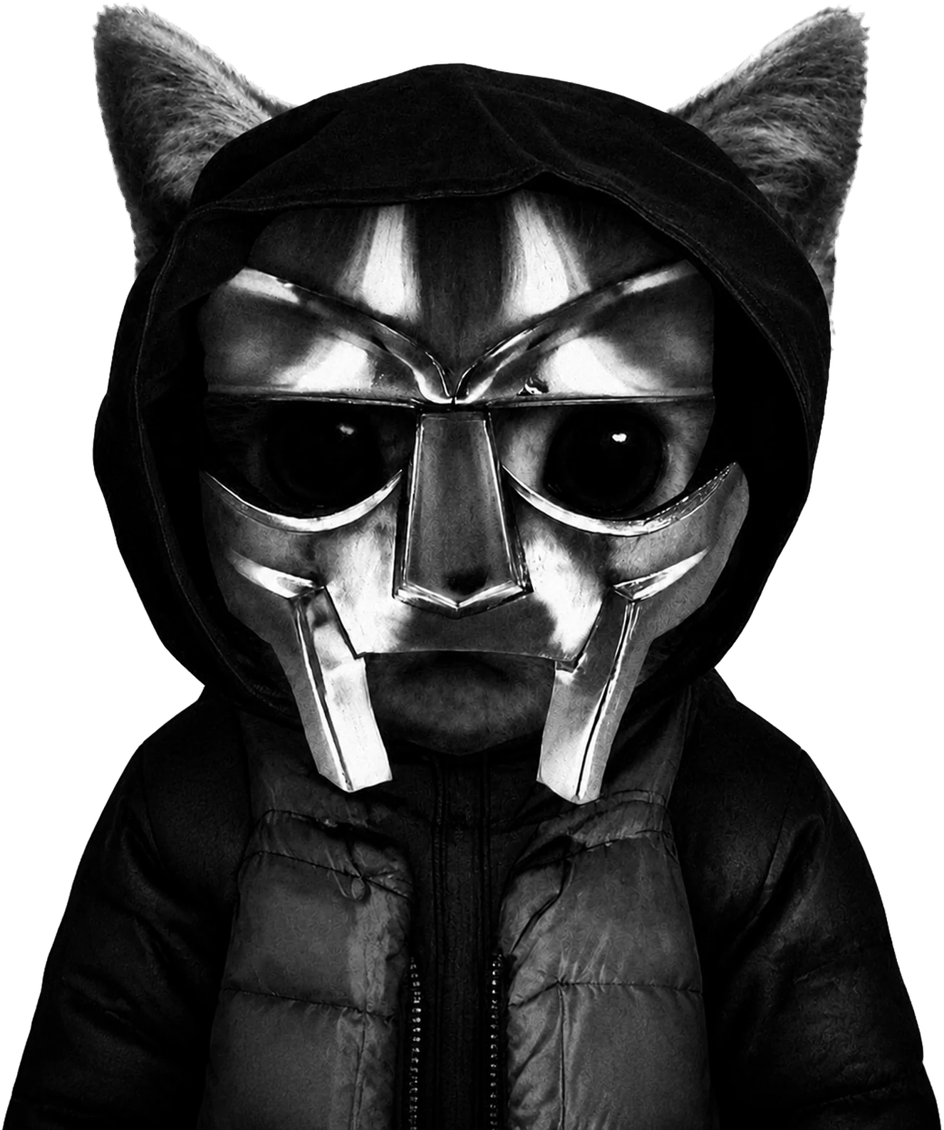 Doom Cat